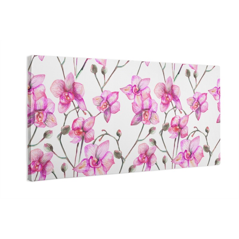 Kwiaty orchidei