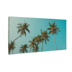 Palmy na niebie Miami