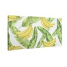 Liście bananowca, banany