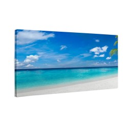 Tropikalna plaża