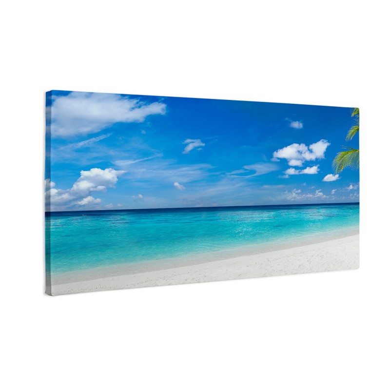 Tropikalna plaża