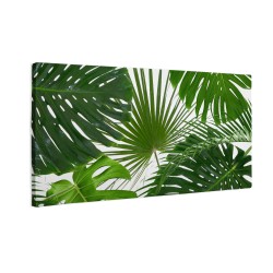 Zielone liście monstera