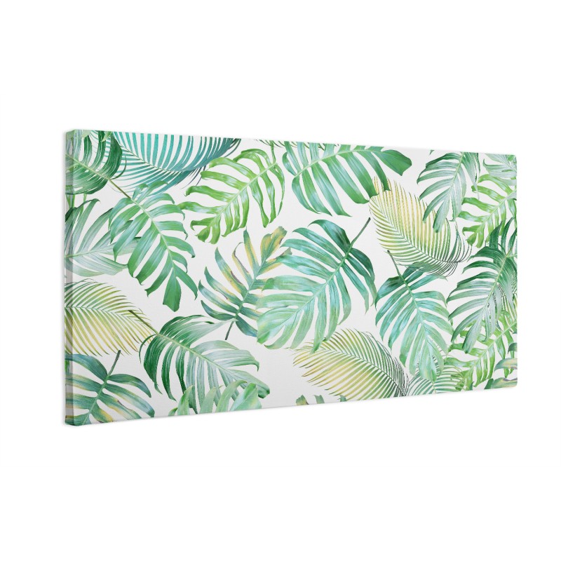 Liście Monstera