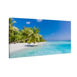Piaszczysta plaża palmy