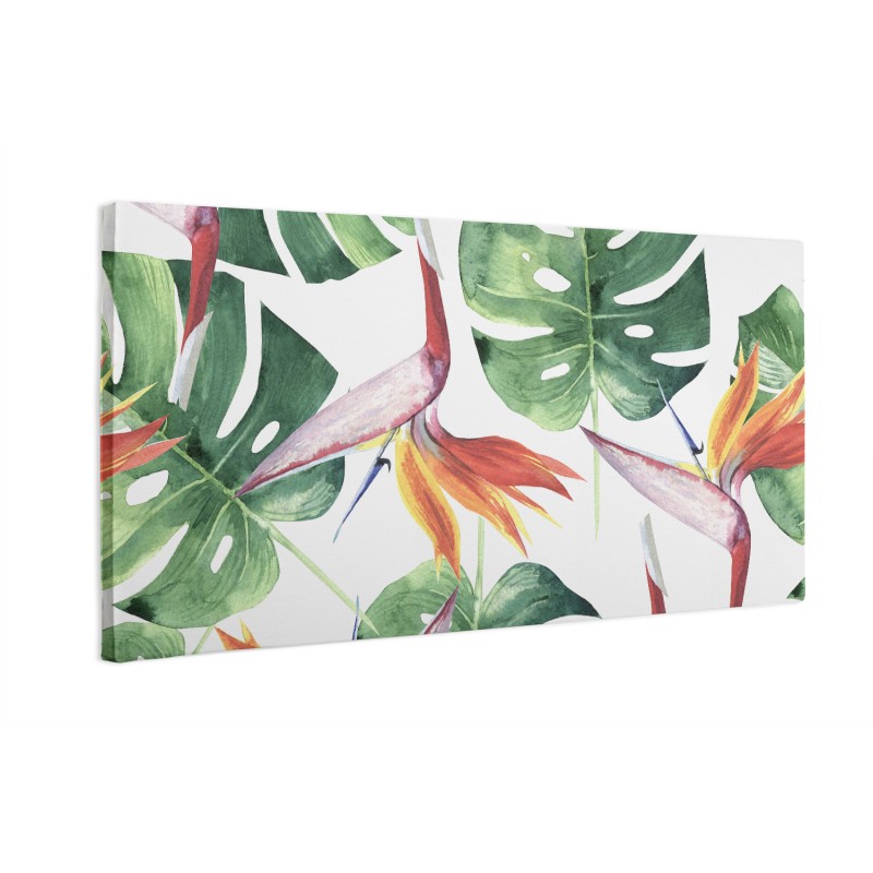 Zielone liście monstera