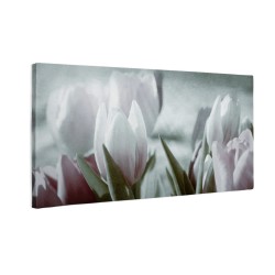 Przyciemnione tulipany