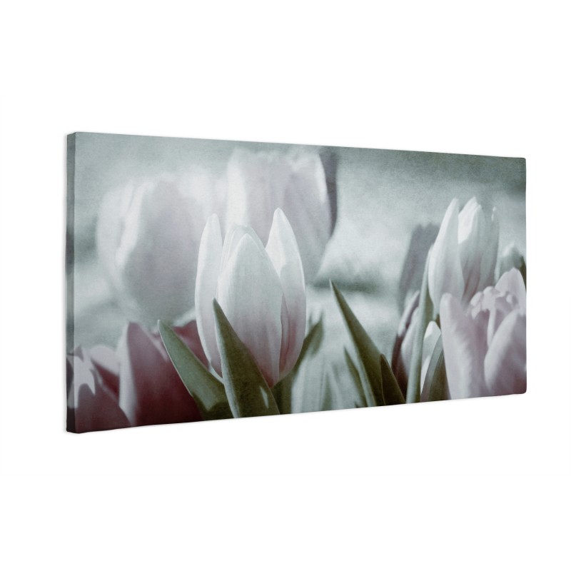 Przyciemnione tulipany