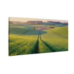 Panorama wiosna