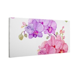 Kwiaty orchidei