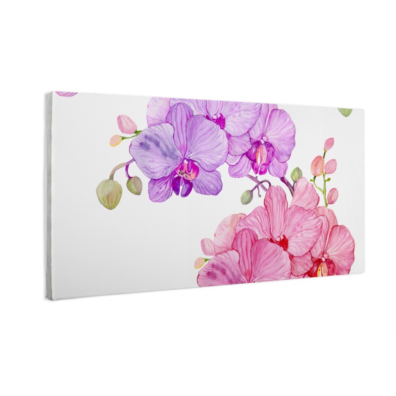 Kwiaty orchidei