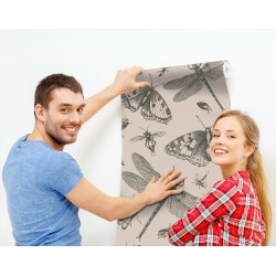 Insekty