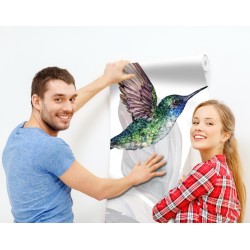 Koliber i kwiaty piwonii