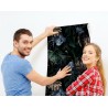 Liście monstera i kwiat