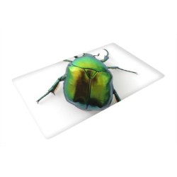 Mata pod krzesĹ‚o