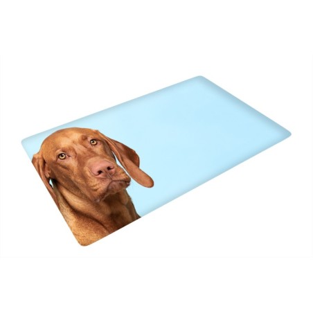 Mata pod krzesĹ‚o