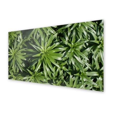 Panel kuchenny