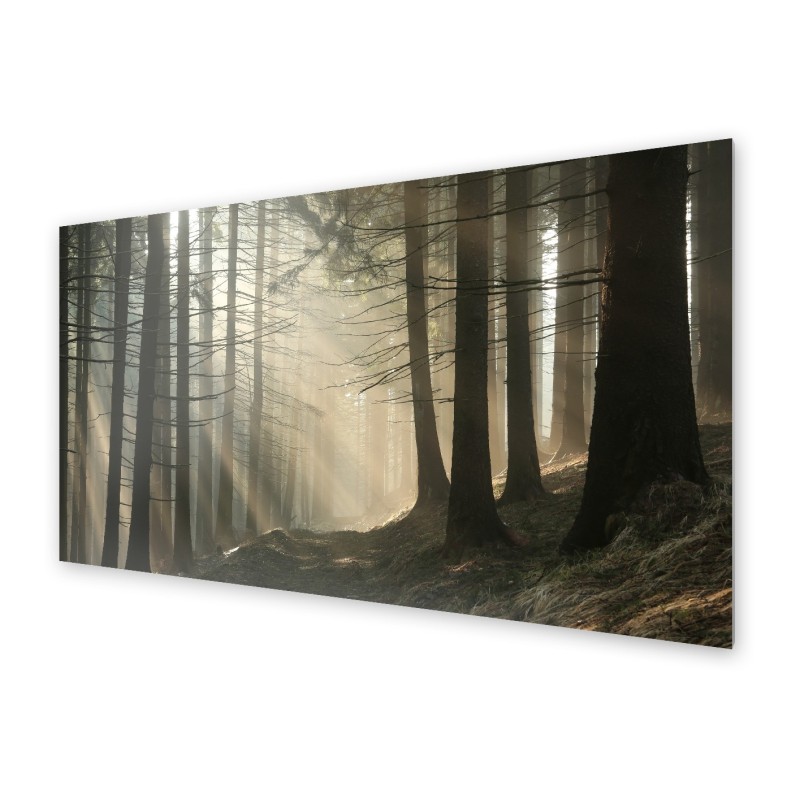 Panel kuchenny Panel kuchenny